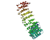 Protein Phosphatase 2, Regulatory Subunit A Beta (PPP2R1b)