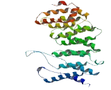 Protein Phosphatase 2, Regulatory Subunit B' Alpha (PPP2R5a)