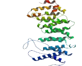 Protein Phosphatase 2, Regulatory Subunit B' Beta (PPP2R5b)