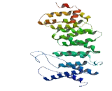 Protein Phosphatase 2, Regulatory Subunit B' Delta (PPP2R5d)