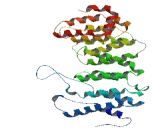 Protein Phosphatase 2, Regulatory Subunit B' Epsilon (PPP2R5e)