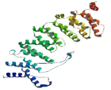 Protein Phosphatase 2, Regulatory Subunit B' Gamma (PPP2R5C)