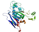 Protein Phosphatase 2C Like Domain Containing Protein (PP2D1)