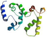 Protein Phosphatase 3, Regulatory Subunit 2 (PPP3R2)