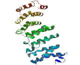 Protein Phosphatase 4, Regulatory Subunit 1 (PPP4R1)