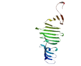 Protein Phosphatase 4, Regulatory Subunit 2 (PPP4R2)