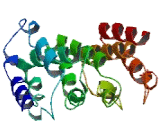 Protein Phosphatase 6, Regulatory Subunit 1 (PPP6R1)