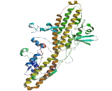 Protein Phosphatase 6, Regulatory Subunit 2 (PPP6R2)