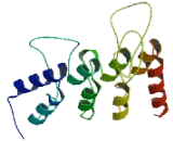 Protein Phosphatase 6 Ankyrin Repeat Subunit B (PP6ARSB)