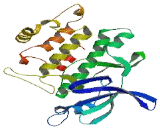 Protein Serine Kinase H2 (PSKH2)