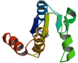 Protein Tyrosine Phosphatase, Mitochondrial 1 (PTPMT1)