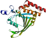 Protein Tyrosine Phosphatase, Non Receptor Type 20A (PTPN20A)