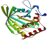 Protein Tyrosine Phosphatase, Non Receptor Type 23 (PTPN23)