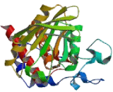 Protein Tyrosine Phosphatase, Non Receptor Type 5 (PTPN5)