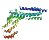 Protein Tyrosine Phosphatase Domain Containing Protein 1 (PTPDC1)