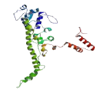 Protein Tyrosine Phosphatase F Interacting Protein 1 (PPFIA1)