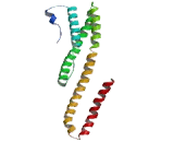 Protein Tyrosine Phosphatase F Interacting Protein 2 (PPFIA2)