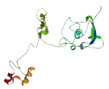 Protein Tyrosine Phosphatase Like A Domain Containing Protein 2 (PTPLAD2)