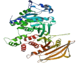 Protein Tyrosine Phosphatase Receptor Type Z (PTPRZ)