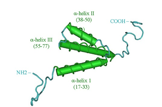 Protein Vpr, HIV2 (Vpr)