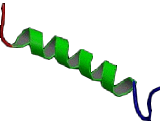 Proteolipid Protein 2, Colonic Epithelium Enriched (PLP2)