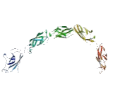 Protocadherin Beta 13 (PCDHb13)