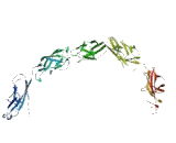 Protocadherin Beta 4 (PCDHb4)