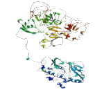 Protocadherin Gamma B5 (PCDHgB5)