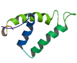 Proton Coupled Amino Acid Transporter 1 (PAT1)