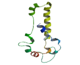 Proton Coupled Amino Acid Transporter 2 (PAT2)