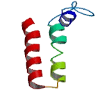 Proton Coupled Folate Transporter (PCFT)