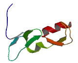 Zinc Finger, FYVE Domain Containing Protein 27 (ZFYVE27)