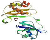 Pseudouridylate Synthase 1 (PUS1)