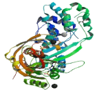 Pseudouridylate Synthase 10 (PUS10)