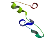 Pseudouridylate Synthase 3 (PUS3)