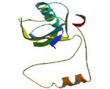 Pseudouridylate Synthase 7 (PUS7)