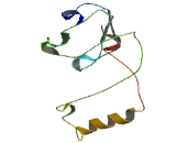 Pseudouridylate Synthase 7 Like Protein (PUS7L)