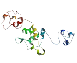 Ptip Associated Protein 1 (PA1)