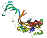 Purinergic Receptor P2X, Ligand Gated Ion Channel 1 (P2RX1)