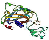 Purinergic Receptor P2X, Ligand Gated Ion Channel 5 (P2RX5)