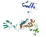 Purinergic Receptor P2X, Ligand Gated Ion Channel 6 (P2RX6)