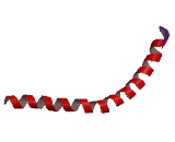 Purkinje Cell Protein 2 (PCP2)