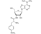 Puromycin (PM)