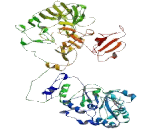 Putative Homeodomain Transcription Factor 1 (PHTF1)