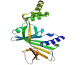 Pyridoxamine-5'-Phosphate Oxidase (PNPO)