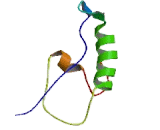 Pyrimidinergic Receptor P2Y, G Protein Coupled 4 (P2RY4)