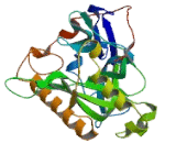 Pyrophosphatase 2 (PPA2)