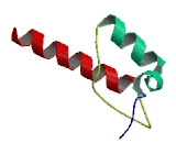 Pyruvate Dehydrogenase Complex Component X (PDHX)