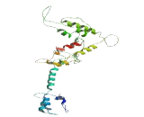 R3H Domain And Coiled Coil Containing Protein 1 (R3HCC1)