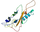 R3H Domain Containing Like Protein (R3HDML)